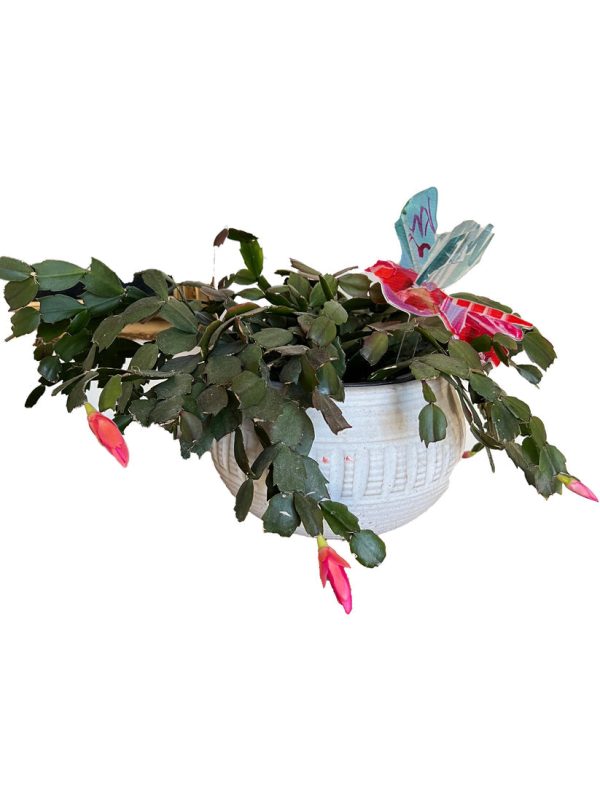 Red Bird Plant Stick Discount