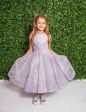 Haley Paige  Charlie  Flower Girl Fashion