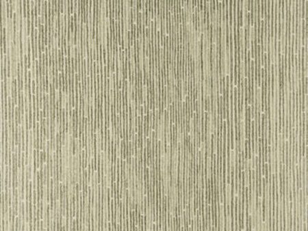 Threads Wallpaper EW15007.125 Frosted Bark Champagne For Discount