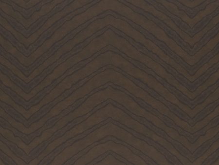 Ralph Lauren Wallpaper LWP65011W Burchell Zebra Ebony Online now