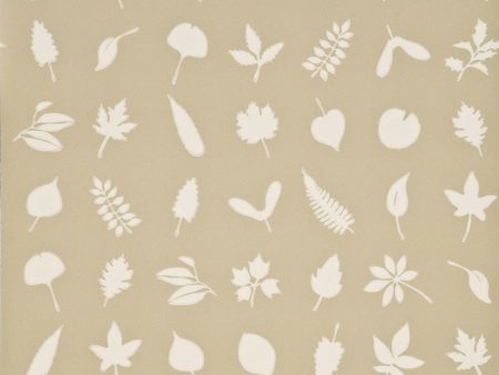 Baker Lifestyle Wallpaper PW78011.4 Tumbling Leaves Stone Cheap