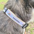 Hochatime Dog Collars Sale