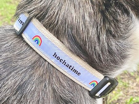 Hochatime Dog Collars Sale